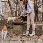 neesa nude sheer lace metart 0109