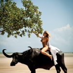 andressa ribiero nude playboy brazil 0011