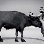 andressa ribiero nude playboy brazil 0012