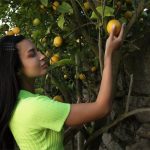 aria lemon lime mplstudios 0003