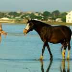 altair-o-my-soul-mate-stunning18-0027