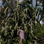 onna metcalf chasing balboa bottoms zishy 0006