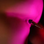 judita sting 1 thelifeerotic 0119