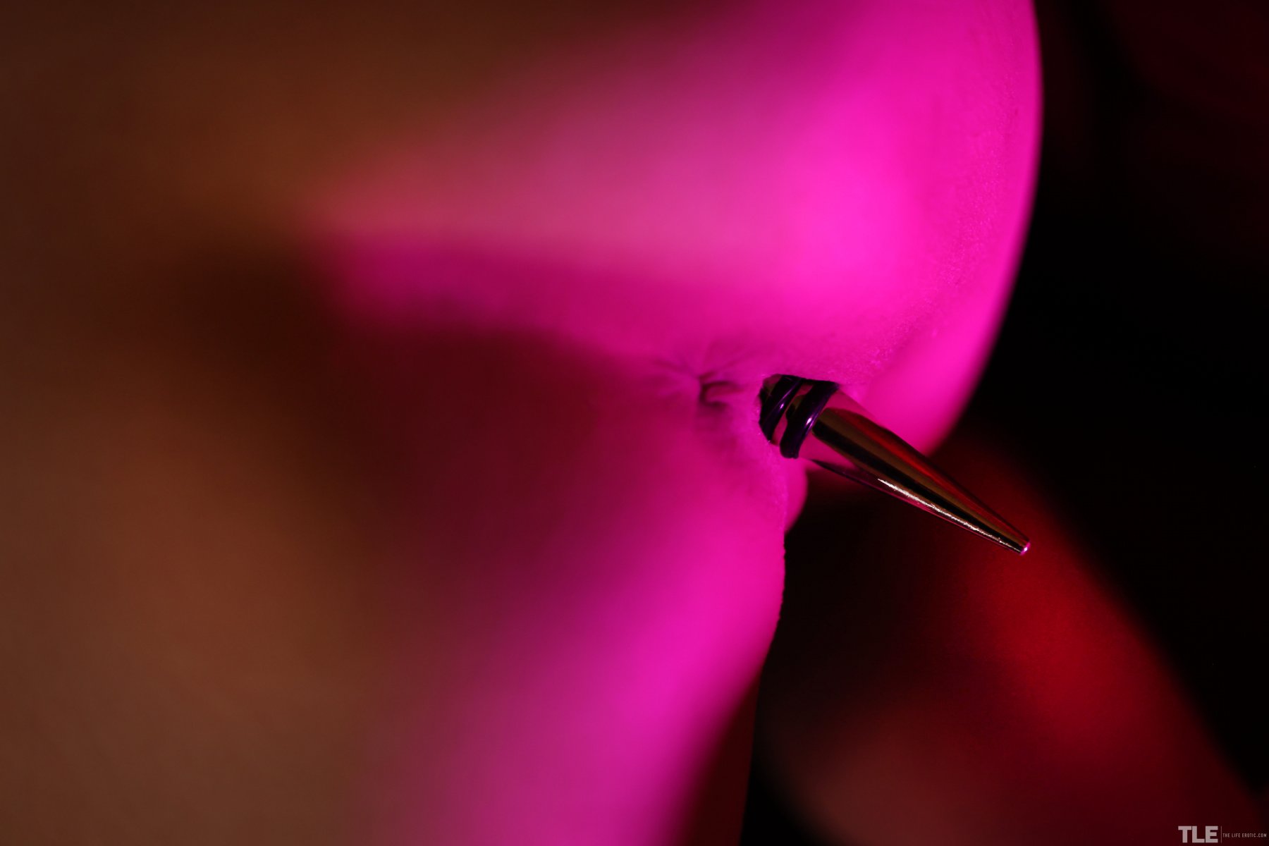 judita sting 1 thelifeerotic 0119