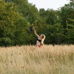 sonya buse summer saga 1 zishy 0026