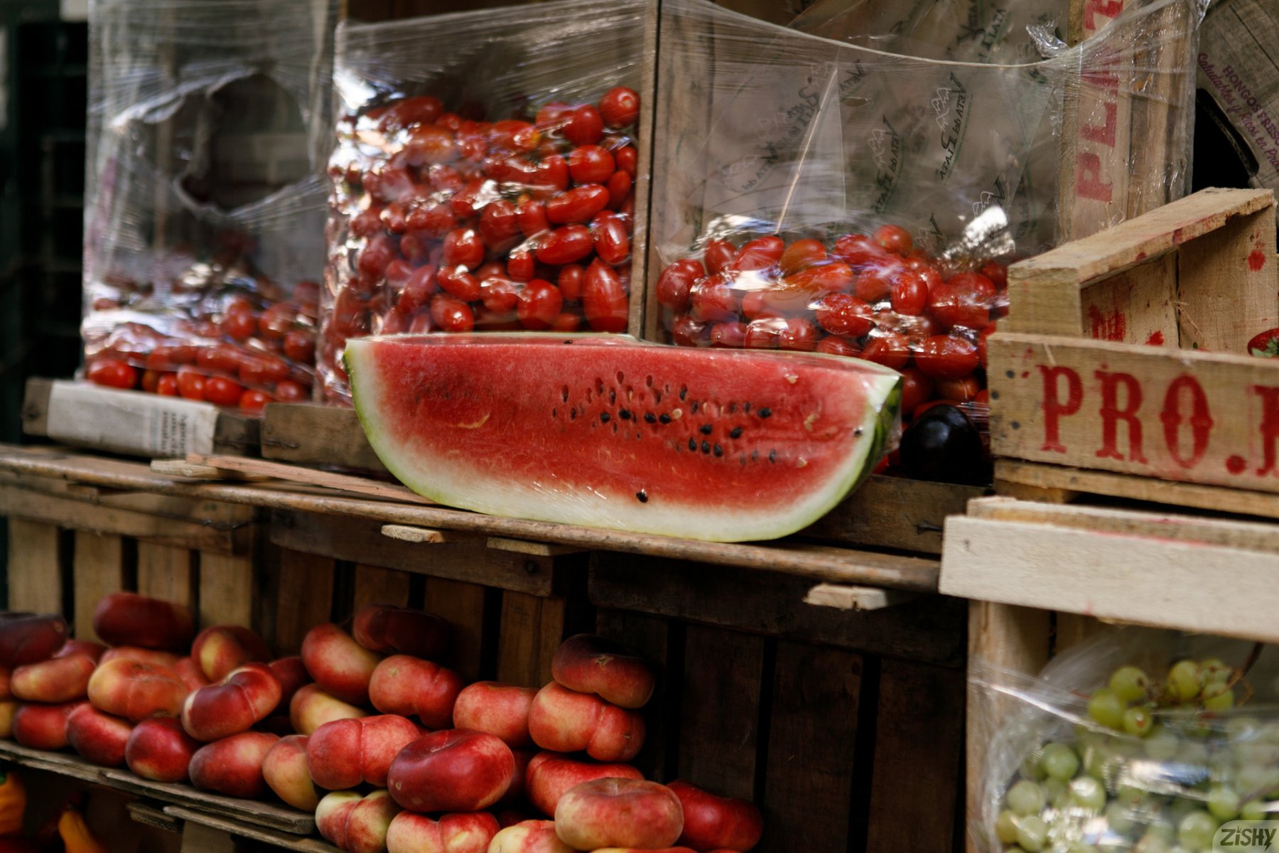 franny lagos intro to summer zishy 0051