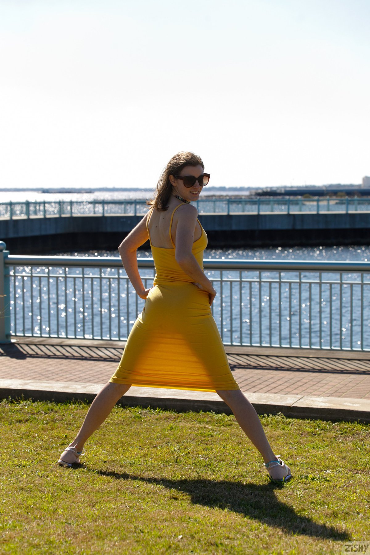 meadow brink american honeysuckle zishy 0038