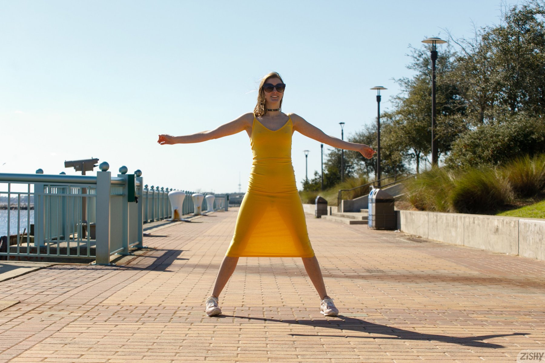 meadow brink american honeysuckle zishy 0048