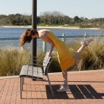 meadow brink american honeysuckle zishy 0063