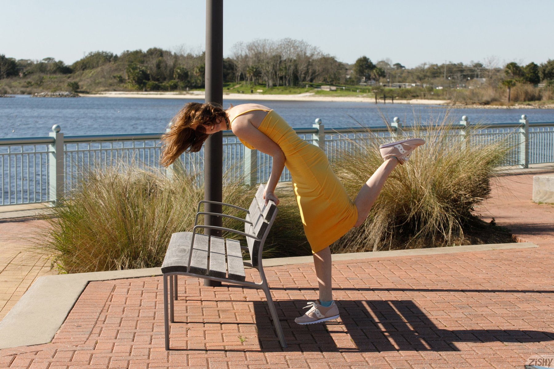 meadow brink american honeysuckle zishy 0063