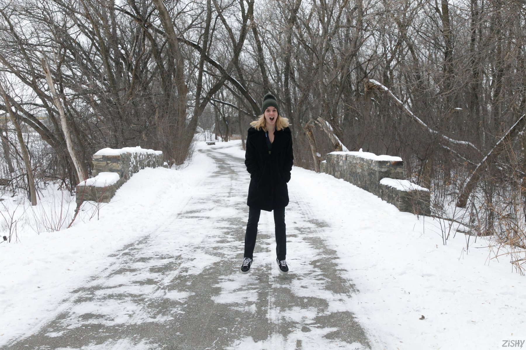 meadow brink in frozen meadows zishy 0019