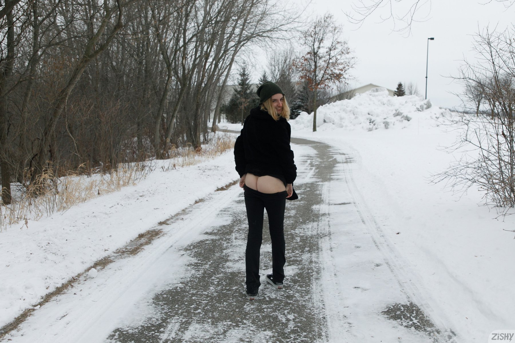 meadow brink in frozen meadows zishy 0066