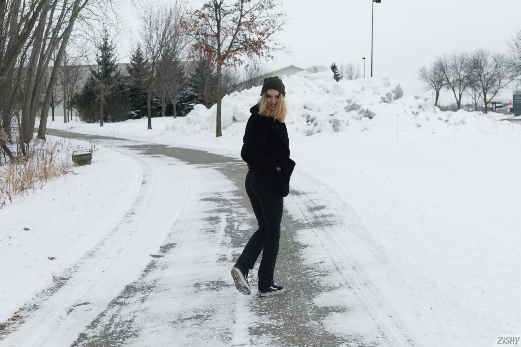 meadow brink in frozen meadows zishy 0070