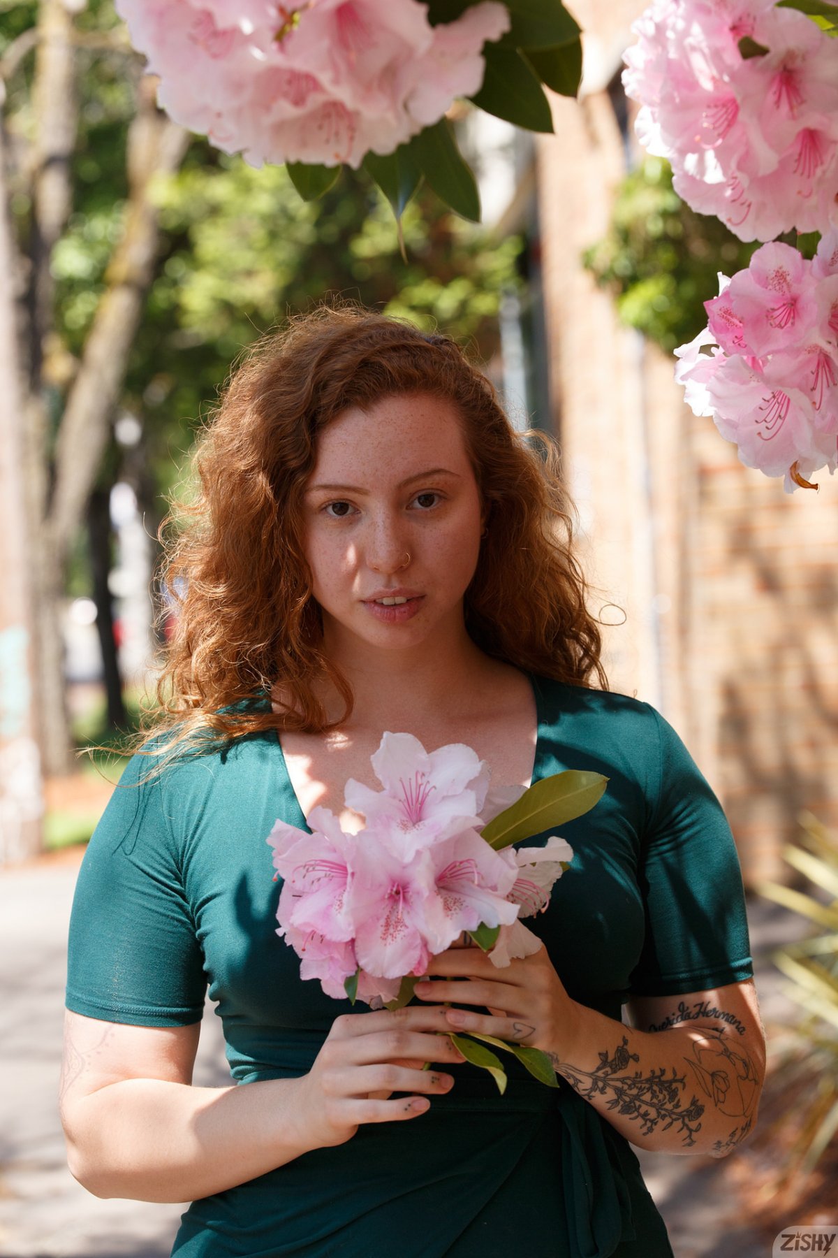 piper gunnison american roadways zishy 0003